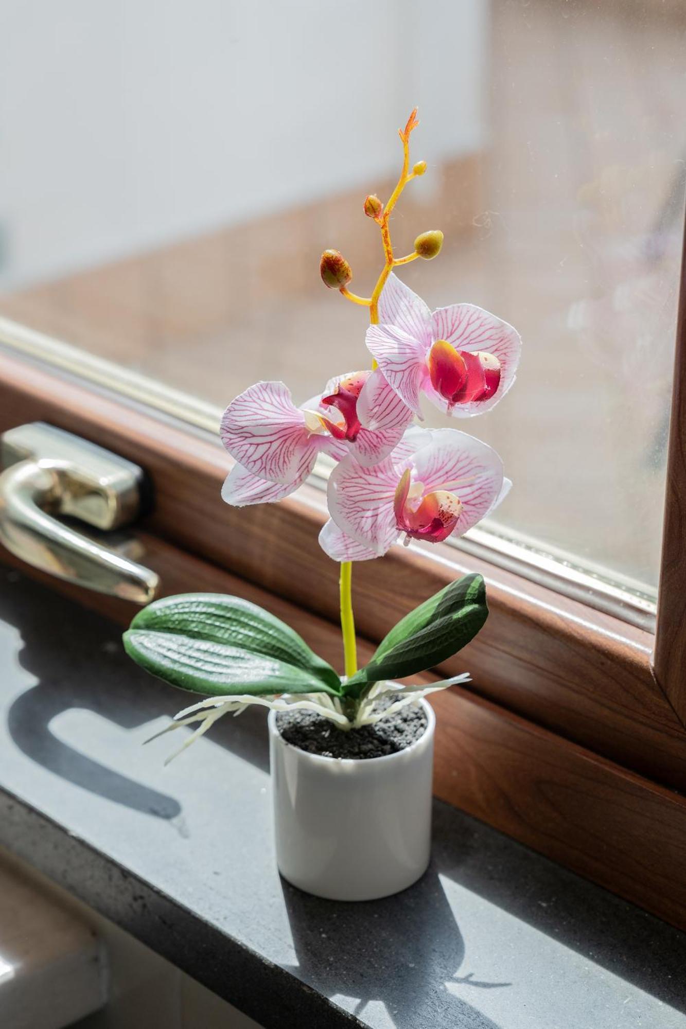 Ziro House Amalfi Apartment Ngoại thất bức ảnh